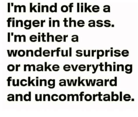 i m kind of like a finger in the ass i m either a wonderful surprise or make everything fucking