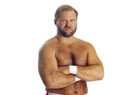 Image Arn Anderson Propng Officialwwe Wiki Fandom Powered By Wikia