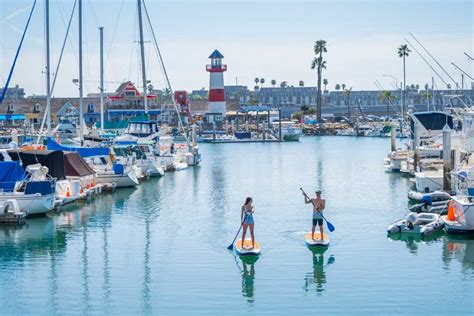 1 hour — $20 2.5 hours — $40 4 hours — $50 8 hours — $75 two days — $125 five days — $200. The Best Paddle Board Rental Near Me - Try Before You Buy