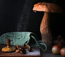 Der Glückspilz Foto & Bild | stillleben, pflanzen, pilze & flechten ...