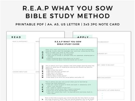 Reap What You Sow Printable Bible Study Method Bible Study Etsy