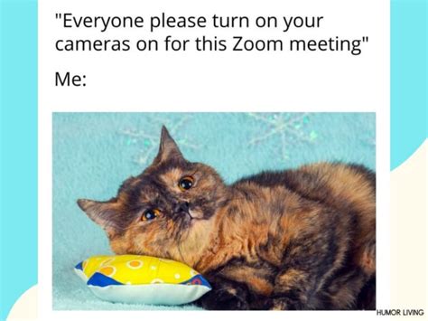 70 Hilarious Zoom Memes To Make Zoom Meetings Bearable Humor Living