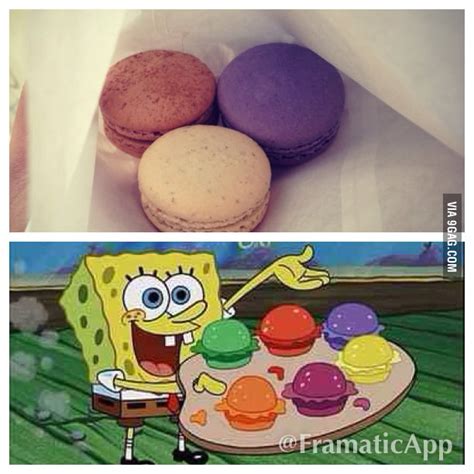 When I See Macaroons All I Can Thinks Of Are Pretty Patties 9gag
