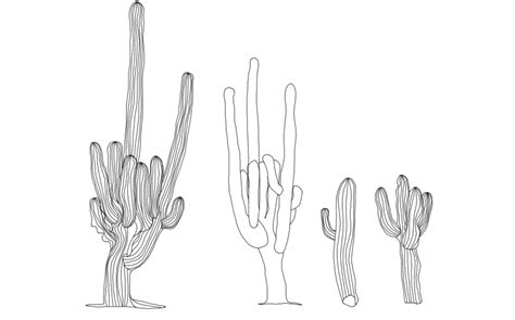 Multiple Cactus Plant Elevation Block Drawing Details Dwg File Cadbull