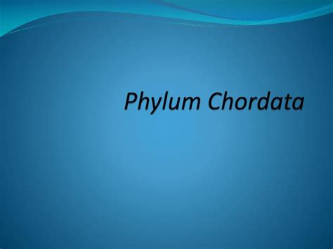 Ppt Phylum Chordata Powerpoint Presentation Free Download Id5423414
