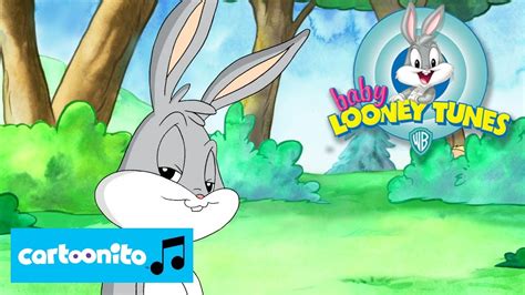 Baby Looney Tunes Song Baby Bunny Song Cartoonito Youtube