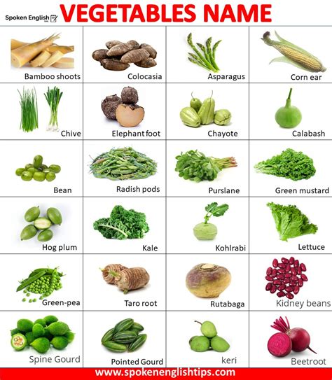 Vegetables Name 100 List Of Vegetable Name In English With Picture