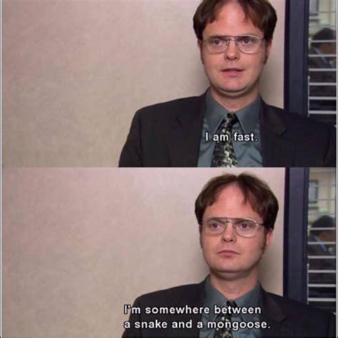 List 25 Best Dwight Schrute Quotes Photos Collection