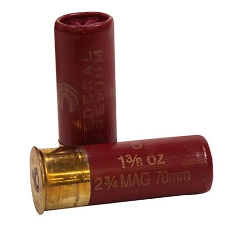 Remington Express Magnum Buckshot Gauge Pellet Centerfire