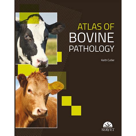 Atlas Of Bovine Pathology