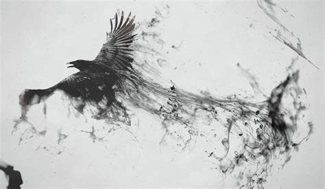 Ravens Black And White Dark Birds Digital Art Wallpapers