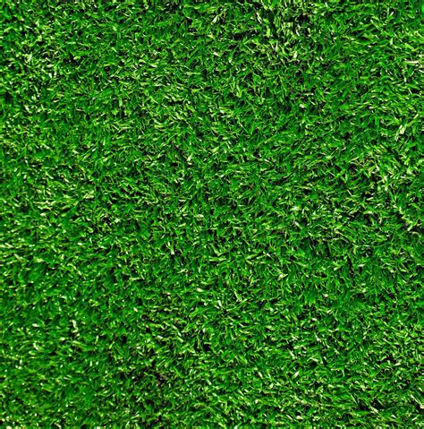 Photography Backdrop Free Shipping Green Grass By Northerndrops Green