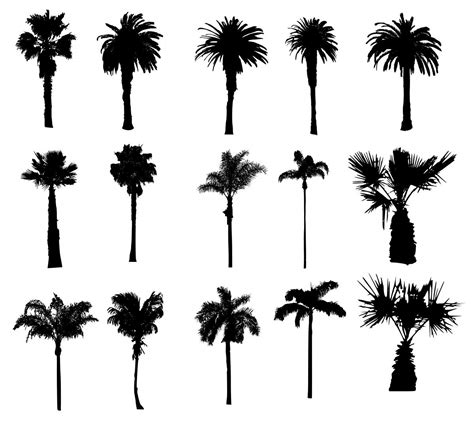 Silhouette Clip Art Transparent Background Art Image Palm Tree