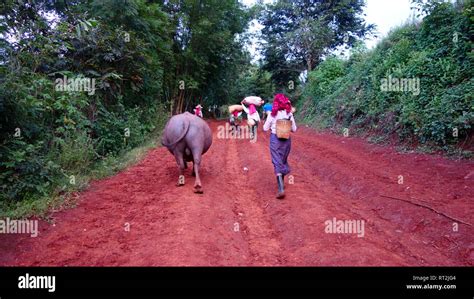Myanmar Rural Life Stock Photo Alamy