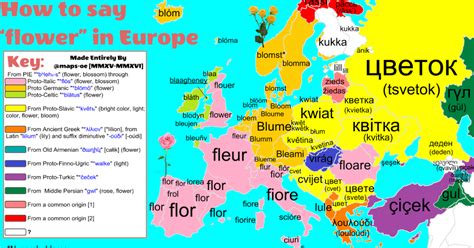 Europakarte zum eintragen | my blog. Landkartenblog: Die Europakarte der Blume - Das sagt ...