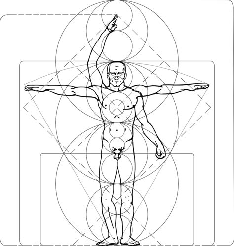 10 dicas para melhorar o desenho da anatomia humana
