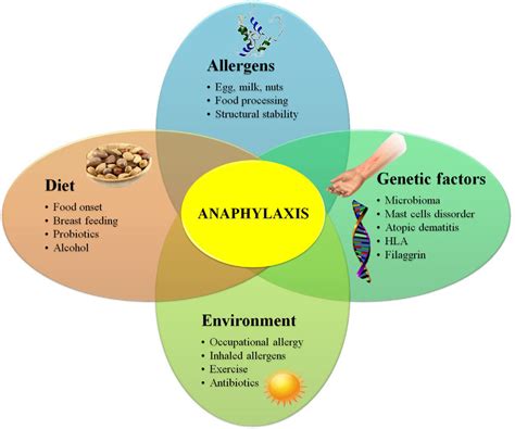 Diagram Showing Genetic Environmental Dietary Habits And