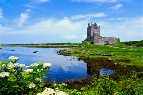 Medieval Dunguaire Castle Along The Shore Of Galway Bay With