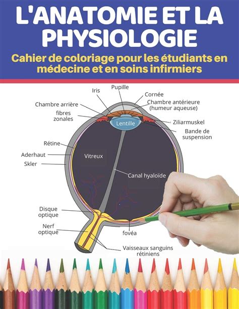 Buy Lanatomie Et La Physiologie Cahier De Coloriage Pour Les étudiants