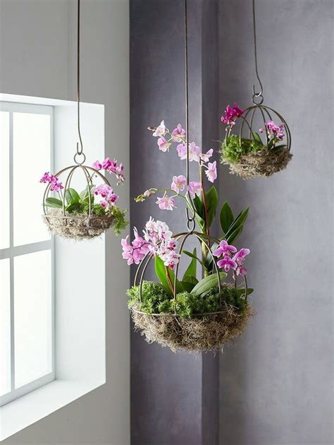 Cute Indoor Hanging Plants Ideas For This Spring 46 I 2020 Växter Gård