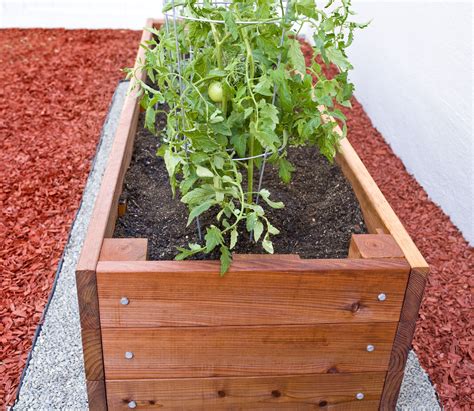 10 Build Planter Box For Tomatoes