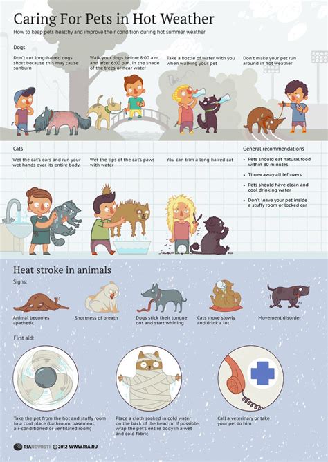 Taking Care Of Your Pet In Hot Weather Take Care Of Your Heroic Dogs