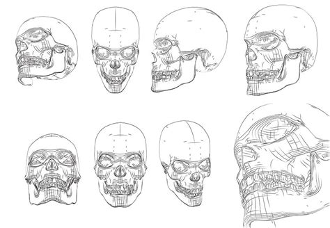 How To Draw A Skull A Step By Step Guide To Skull Drawing