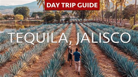 Tequila Jalisco Day Trip Guide Tequila Tours La Alborada