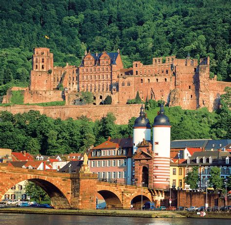 Vers Le Château Et Le Königstuhl Heidelberg Randonnée