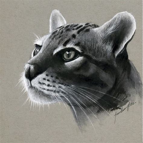He uses pencils, pens, markers, paints, brushes, acrylic and. Realistic Pencil Animal Drawings | Animal drawings ...
