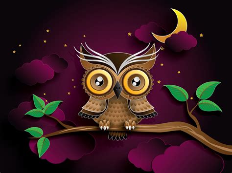 Free Owl Animation Download Free Owl Animation Png Images Free