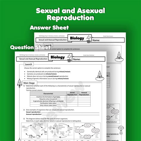 Sexual And Asexual Reproduction Home Learning Worksheet Gcse Uk