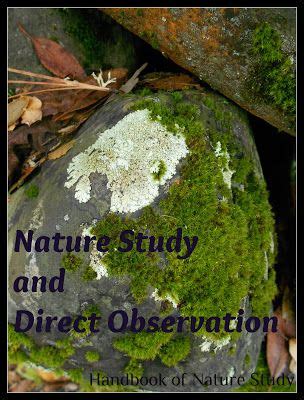 Use the rubric to guide you on what is required of you. Nature Study - Using Direct Observation | Nature study ...
