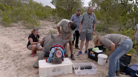 Clandestino S03e03 Das Sinaloa Kartell Teil 3 El Cártel De Sinaloa