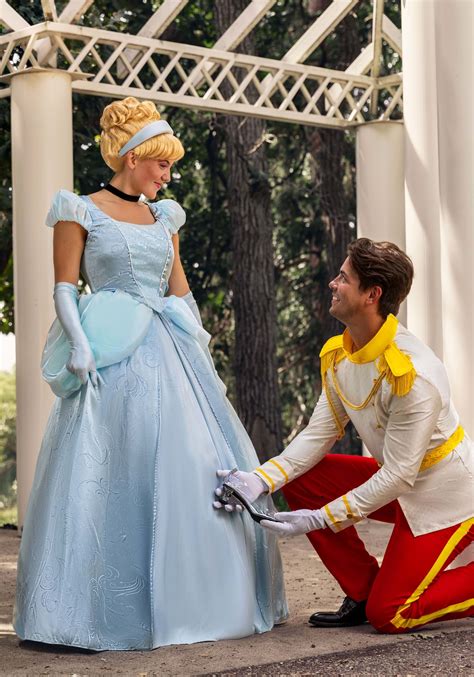 Premium Cinderella Costume For Women