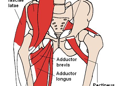 Hip pain is a common complaint that can be caused by a wide variety of problems. The Rocking Hip Flexor Stretch