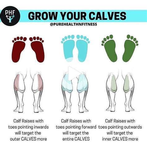 Grow And Sculpt Strong Calves With These 6 Body Weight Exercises Calf