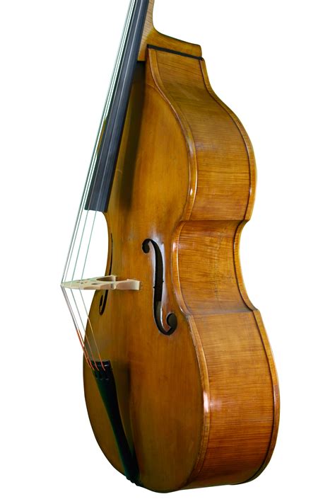 5 String Double Bass By Rudolf Van Merrebach Amsterdam Anno 1967 The Contrabass Shoppe