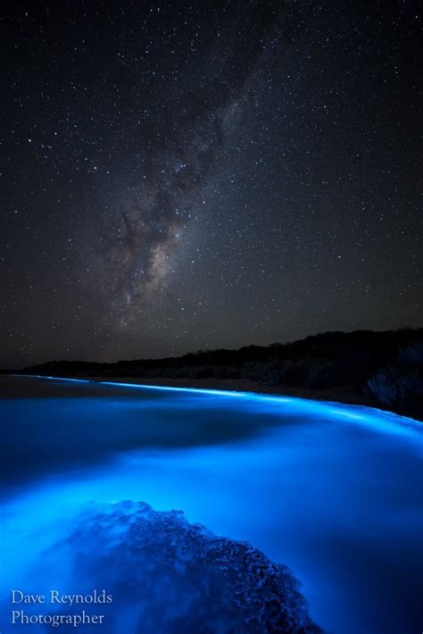 Sea Sparkle Extreme Bioluminescence In Tasmanian Waters Tasmanian