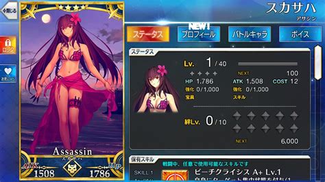 Screenshot2017 07 21 20 08 15 Swimsuit Scathach Assassin Flickr