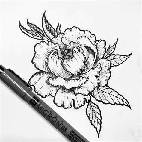 Peony Tattoo Drawing At Explore Collection Of