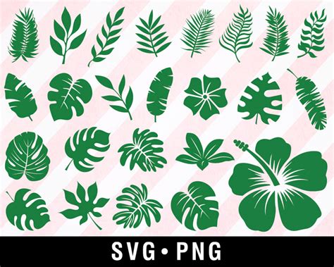 Tropical Leaves Svg Bundle Tropical Leaf Svg Monstera Svg Etsy