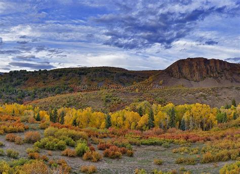 Fine Art Nature Photographywplusacoloradoowl Creek Pass138130610