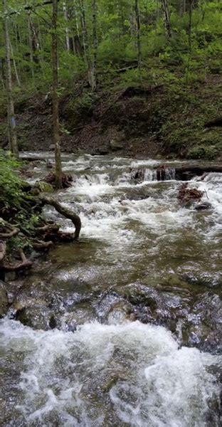 Money Brook Trail Hiking Trail Williamstown Massachusetts