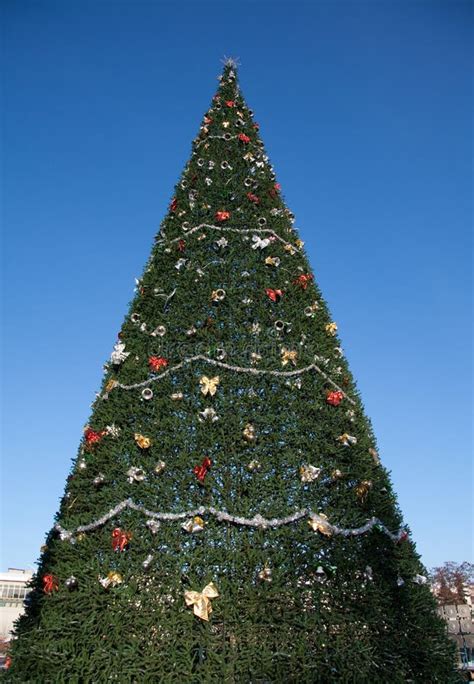 A Very Big Christmas Tree And Sky Stock Image Image Of December Noel