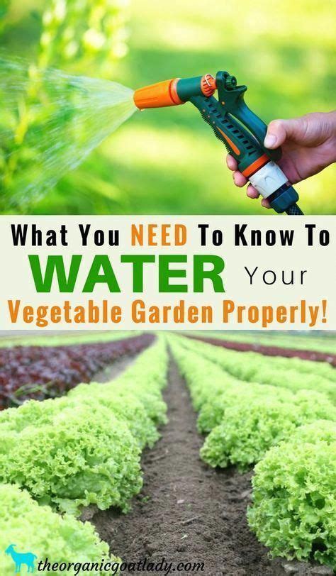 Gardening Tips Garden Soil What You Need To Know To Water Your