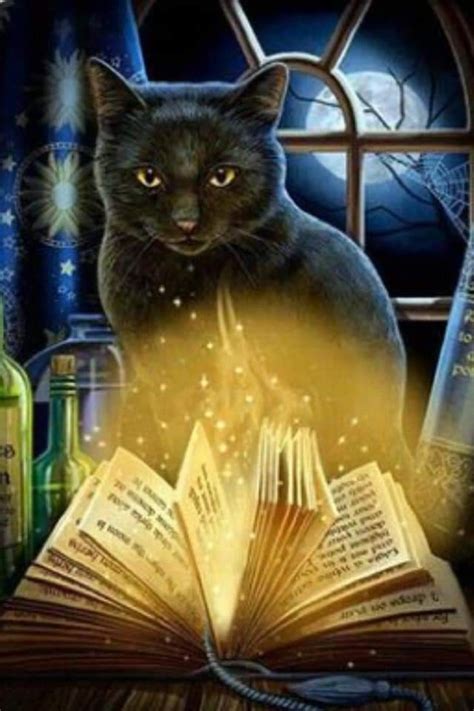 Fantasy Kunst Fantasy Artist Magic Cat Magic Book Gatos Cats Black