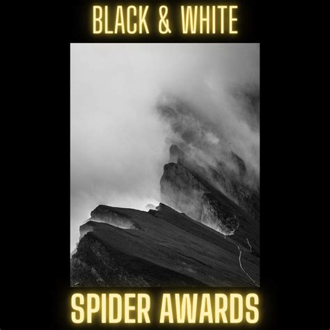 Black And White Spider Awards Radek Von Hirschberg