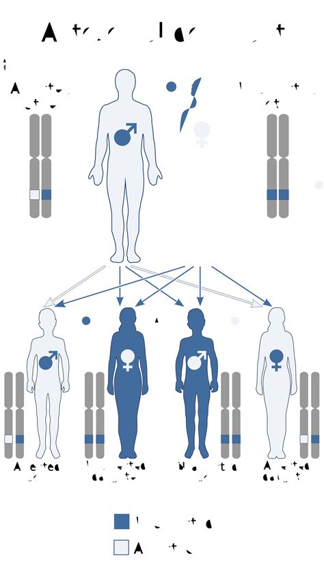 Stickler Syndrome Facial Features
