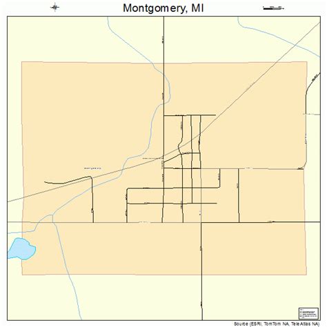 Montgomery Michigan Street Map 2655220
